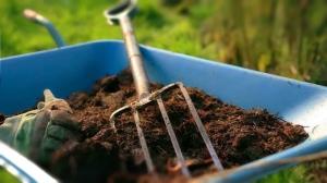 4 best ways to use peat in the garden. And some of the risks